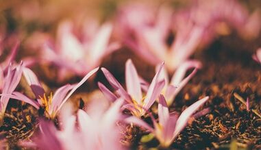 как сделать талисман на удачу своими руками